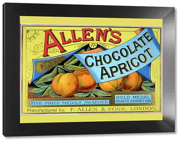 Chocolate Apricot poster