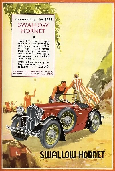 Hornet car advertisement