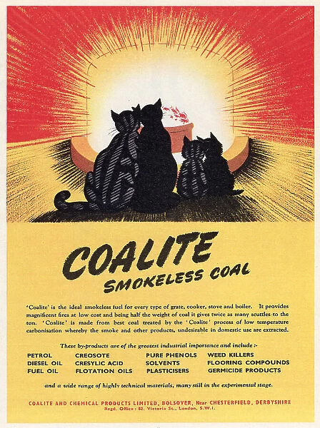 Advert for Coalite smokeless coal 1951