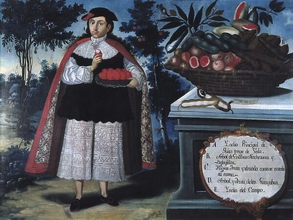 ALBAN, Vicente (18th c. ). Quitos Indian Chief