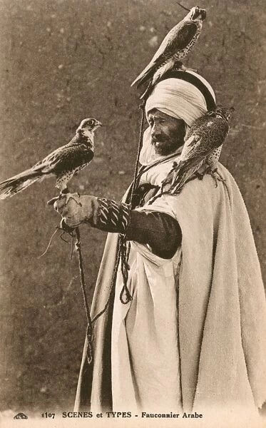 Algeria - Arabian Falconer