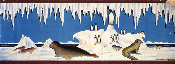 Antarctic seals and penguins with snow and ice