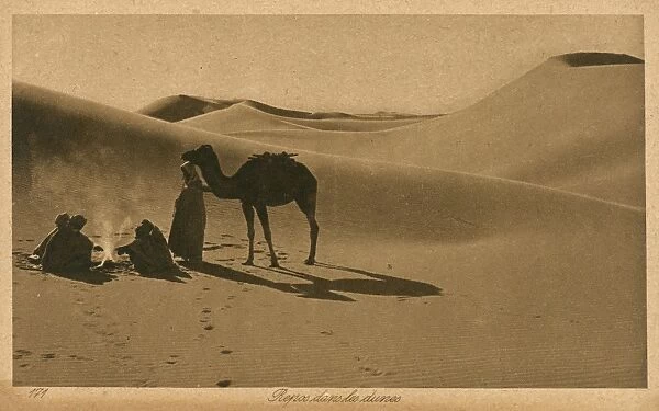 Arabs and camel resting in the sand dunes, Algeria