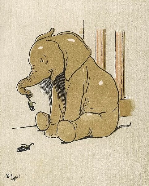 Baby Elephant Aldin 1907