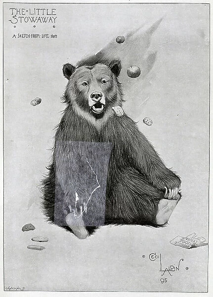 Bear, The Little Stowaway, illustration by Cecil Aldin