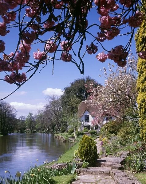 Bickleigh Cottage on the River Exe, Devon