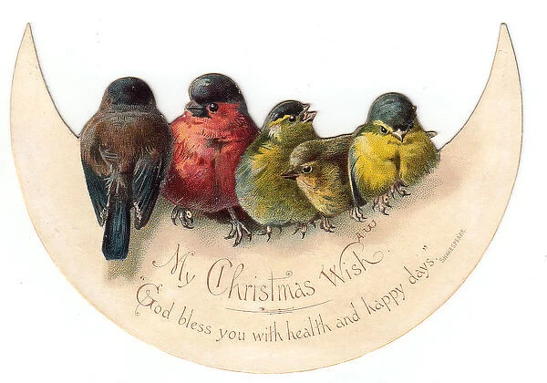 Birds perched on crescent moon on a Christmas card