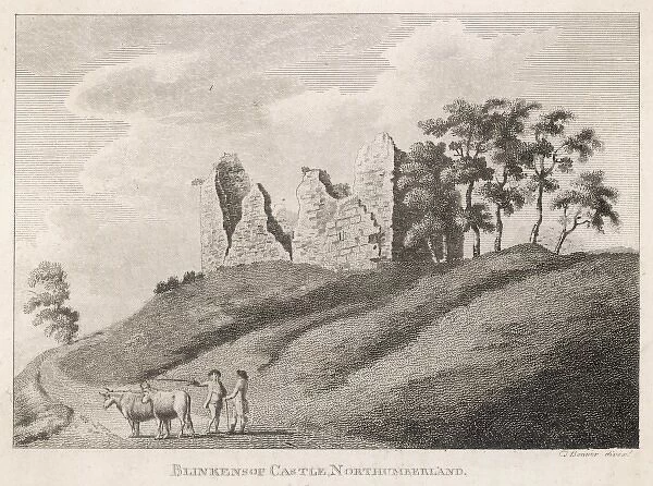 Blenkinsop Castle