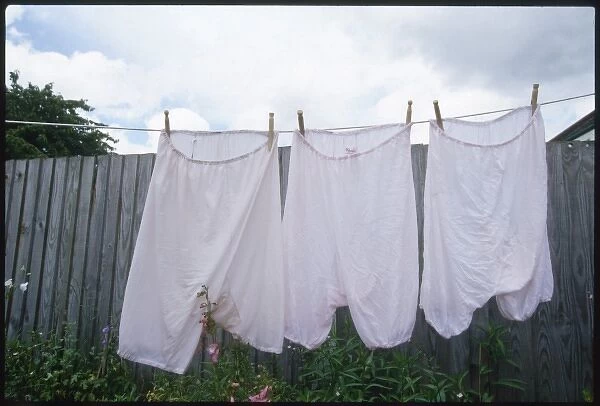 Bloomers on Clothes Line