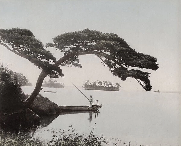 Boatman on a lake under a sweeping tree, Japan