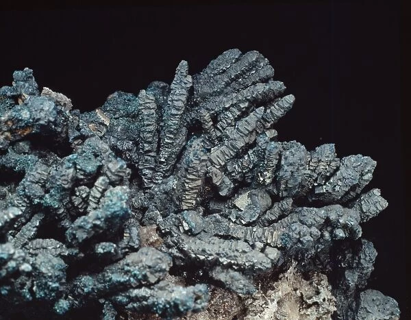 Bornite. A specimen of the mineral Bornite