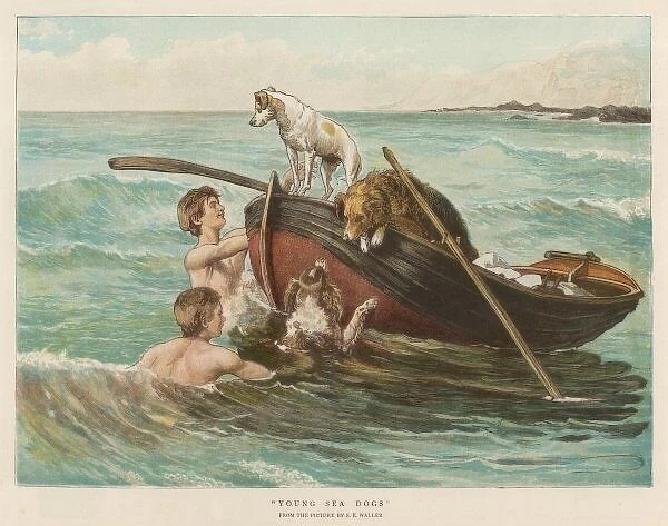 Boys Swim with Dogs