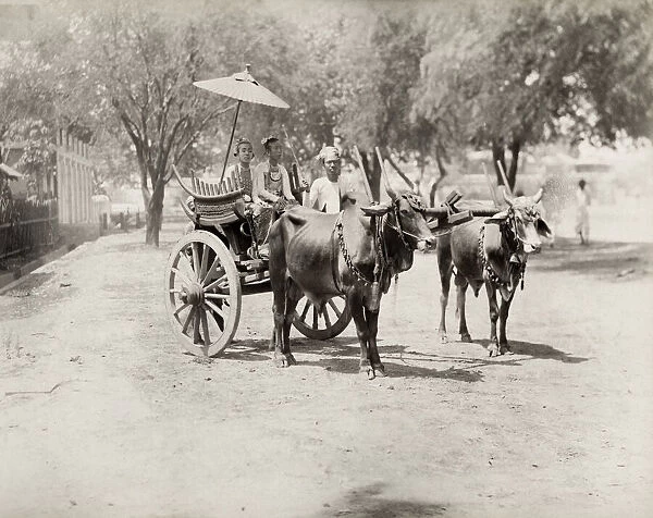 bullock cart, two well-dressed women, British India