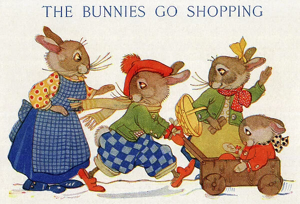 The Bunnies Go Shopping