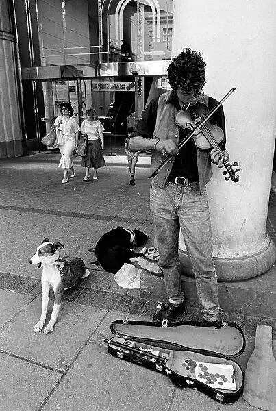 Busker with dogs, Cheltenham - 1
