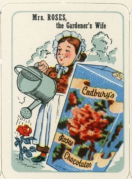 Cadburys Happy Families - Mrs Roses