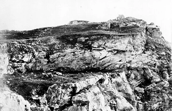 Calcareous Sandstone, Bermuda 1873