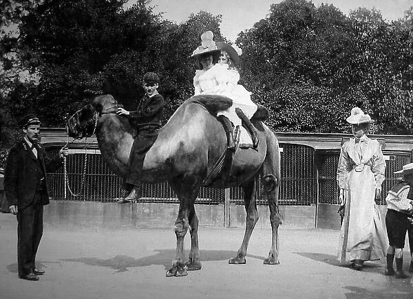 Camel ride at the Zoo (possibly London Zoo)
