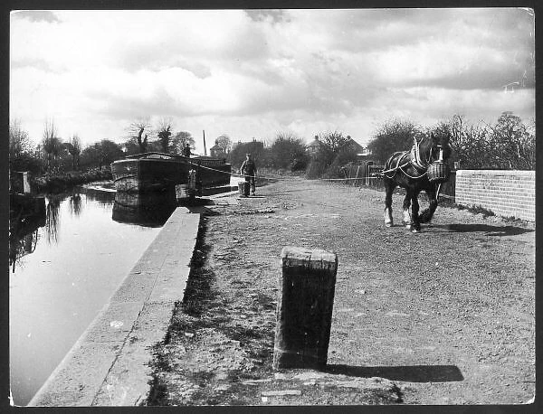 Canal Tow Path & Horse