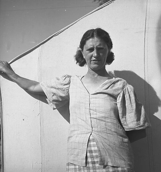 In a carrot pickers camp, Imperial Valley, California