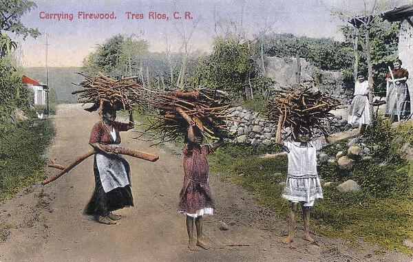 Carrying Firewood at Tres Rios, Costa Rica