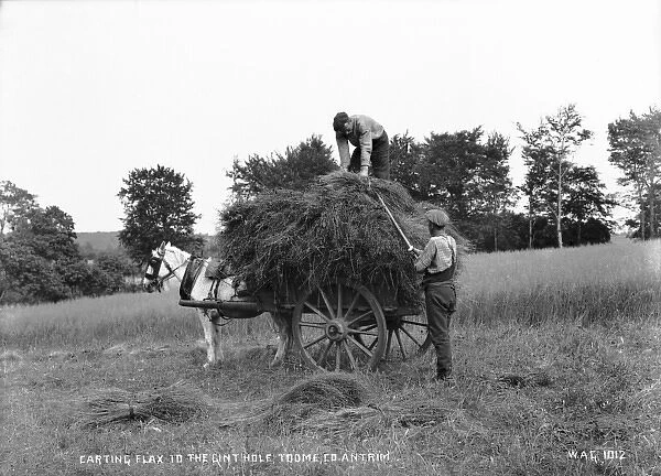 Carting Flax to the Linthole, Toome, Co. Antrim