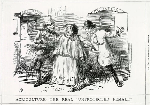 Cartoon, Agriculture -- The Real Unprotected Female