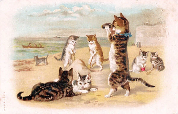 Cats and kittens on the beach on a postcard