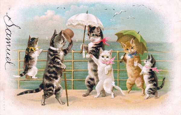 Cats and kittens with parasols at the seaside on a postcard