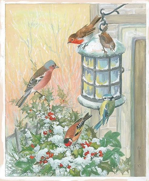 Chaffinch, Robin, Wren, Goldfinch and Blue Tit and lantern