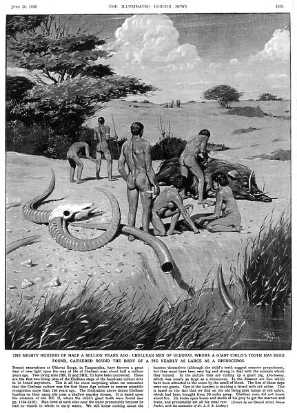 Chellean men of Olduvai