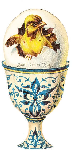 Chick in an eggcup on a cutout Easter card