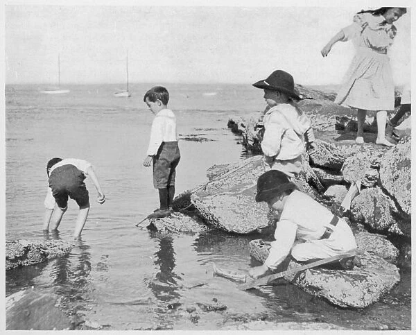 Children  /  Seaside Paddle