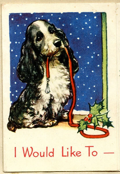 Christmas card, Cocker Spaniel dog