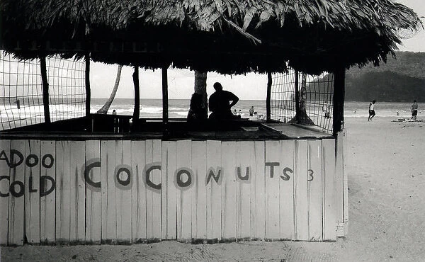 Cold Coconuts stall, Trinidad, West Indies