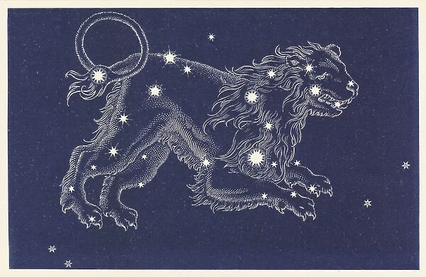 Leo. The Constellation Leo
