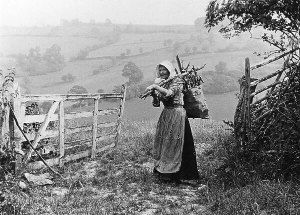 Countrywoman gathering firewood