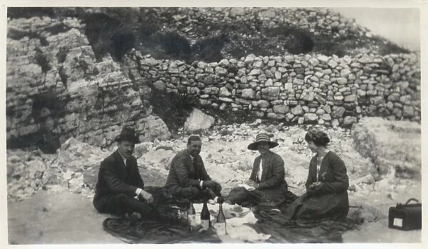 Two couples enjoying a champagne picnic