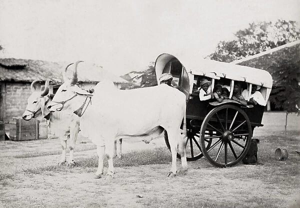 Covered ox cart for transporting people, gharry, gharri, In