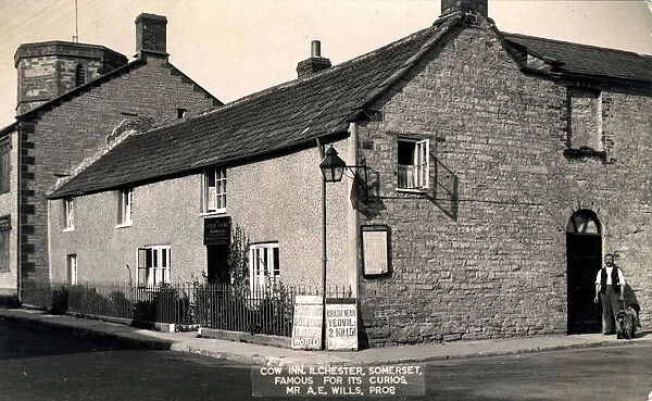 The Cow Inn, Ilchester, Somerset