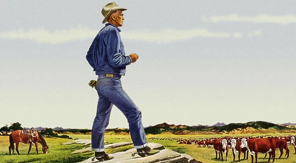 Cowboy Views Herd Date: 1947