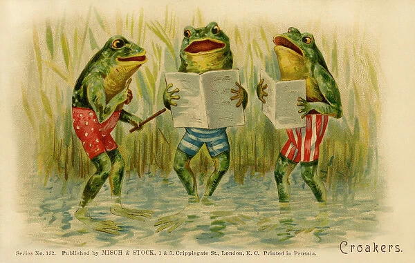 Croakers. Three anthropomorphic frogs singing amongst rushes.Date: 1903