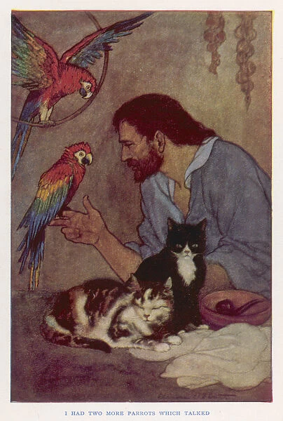 Crusoe, Parrots, Cats