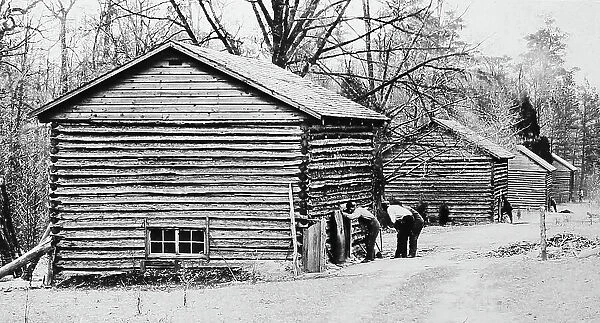 Curing barns at a tobacco plantation, Virginia, USA