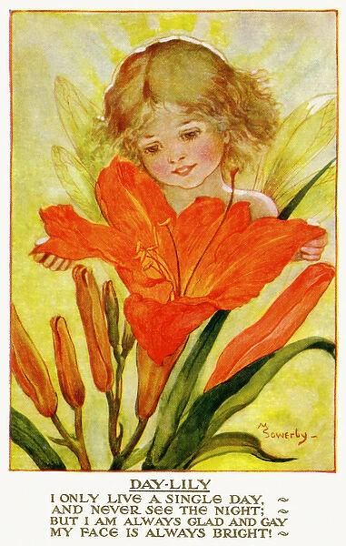 Day lily. Pub: Humphrey Milford, Postcards for the Little Ones