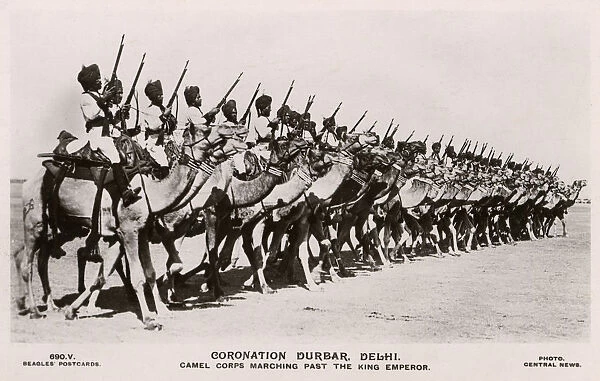 Delhi Durbar - Camel Corps Marching Past Emperor George V