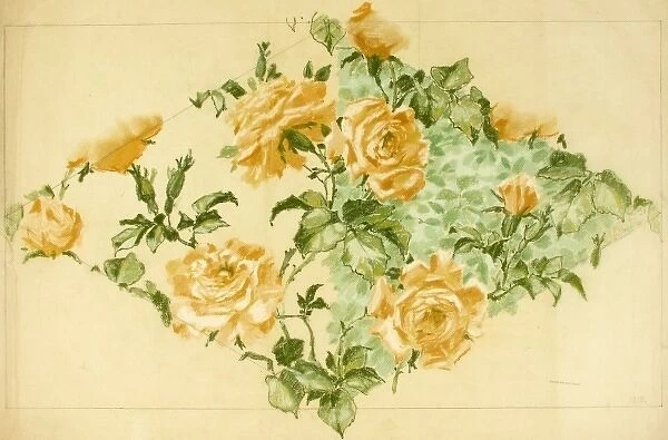 Design for Textile or Wallpaper with yellow roses