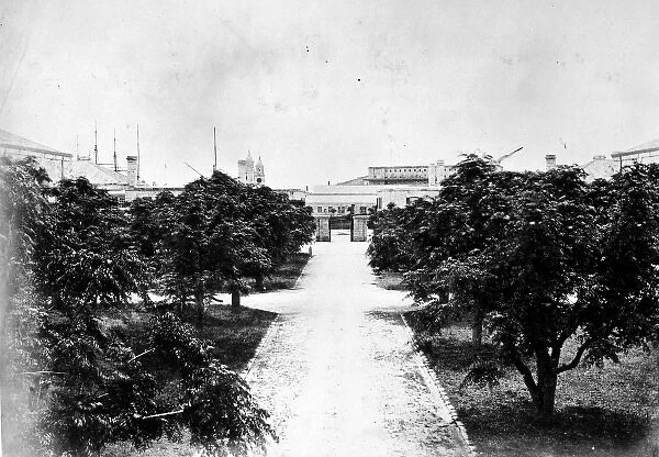 The Dockyard Gardens, Bermuda 1873