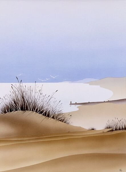 Dune Grass - Picture 2 of 2