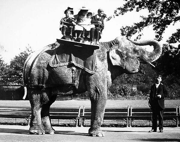 Elephant ride (probably London Zoo), Victorian period